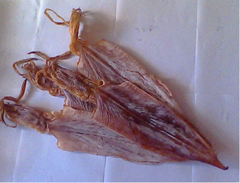东森鱿鱼干备受广大投资者以及消费者喜爱