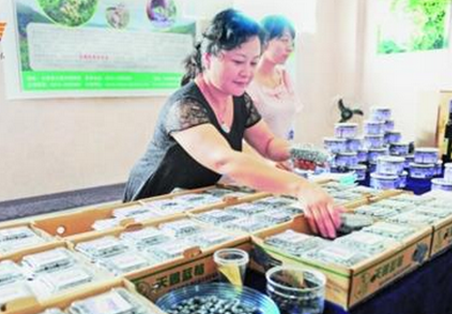 蓝莓之约休闲食品加盟商 蓝莓之约休闲食品加盟商