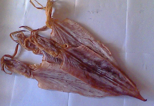 东森鱿鱼干