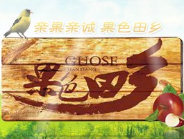 果色田乡罐头