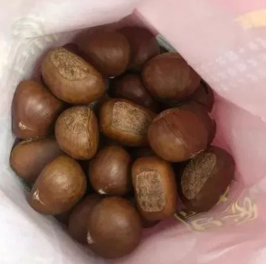 陈记金栗王