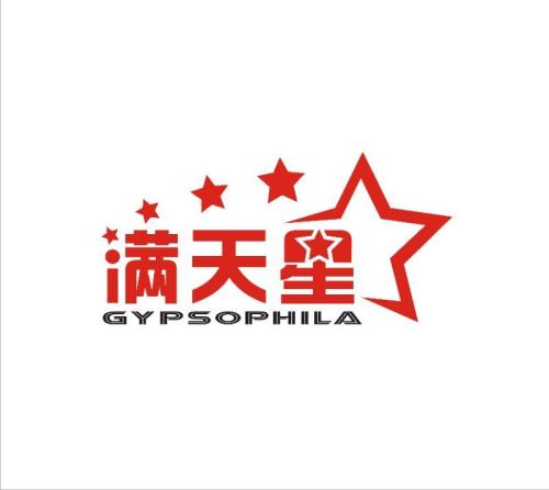 满天星6.6元休闲食品