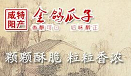 金鸽