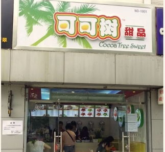 可可树