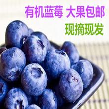 万果汇食品