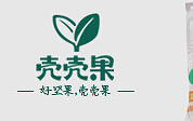 壳壳果干果
